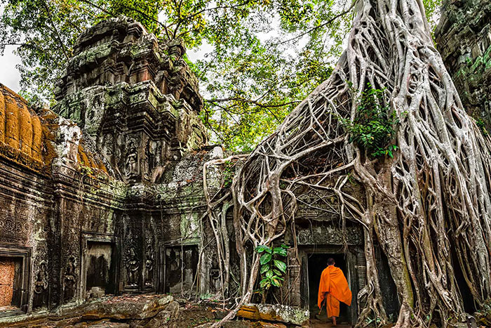 Que faire à Siem Reap temple de Ta Prohm